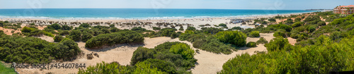 sand dunes on La Barrosa beach in Sancti Petri  Cadiz