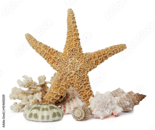 Beautiful starfish, coral and sea shells on white background