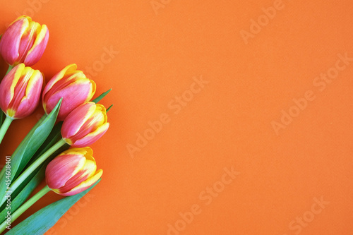 Tulips on orange background. Greeting card. 8 March Happy Women's Day. Mother's day. Flat lay. Place for text. Spring. 