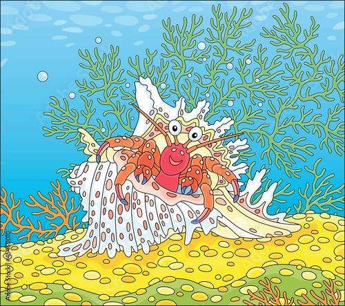 Hermit crab in a fancy shel...