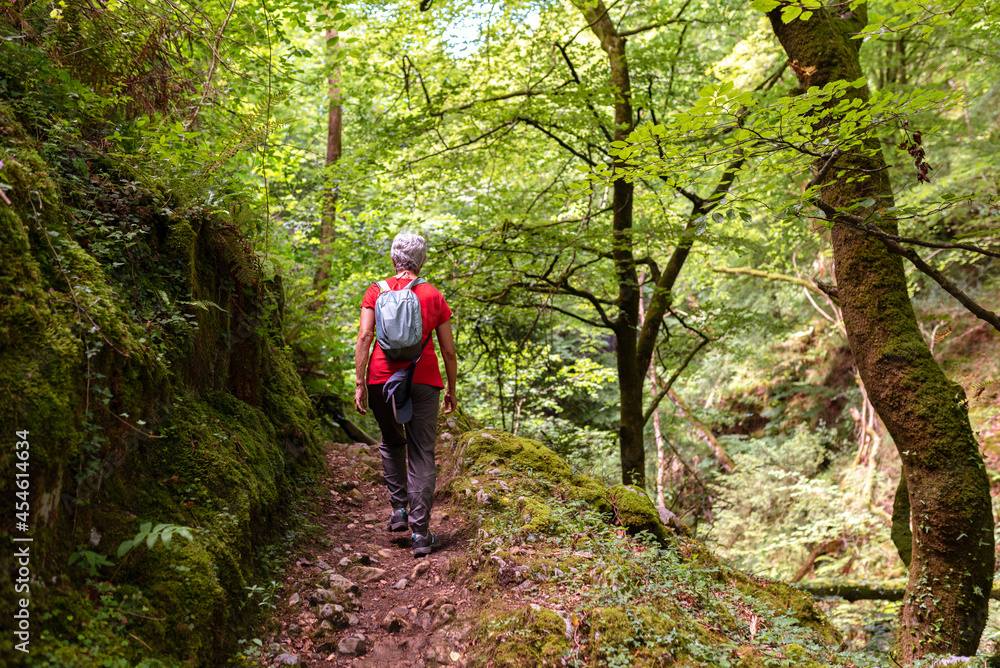 old woman with gray hair hiking on a mountain path and daring a forest.