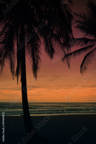 sunset on the beach.Beautiful Palm trees sunny or sunset in holidays.Dramatic colorful sea silhouette sky.