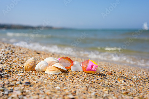 Children's scuba diving goggles lie next to the found shells on the seashore. Selective focus on seashells.
