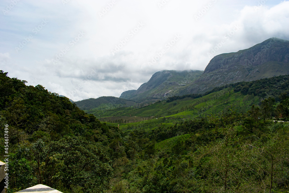 Fototapeta premium landscape photos from Munnar, Kerala