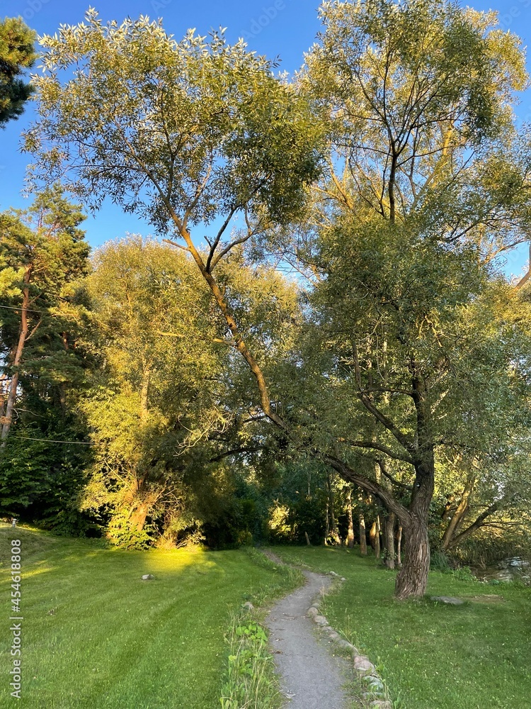 Naklejka premium autumn in the park