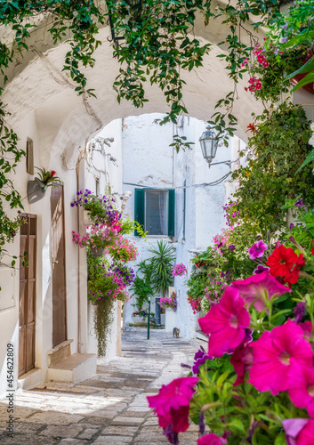 Fototapeta Naklejka Na Ścianę i Meble -  Scenic sight in Ostuni on a sunny summer day, Apulia (Puglia), southern Italy.