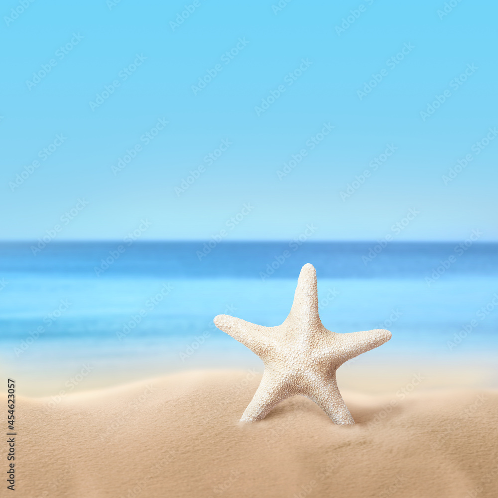 Beautiful sea star on sandy beach near ocean Beautiful sea star on sandy beach near ocean