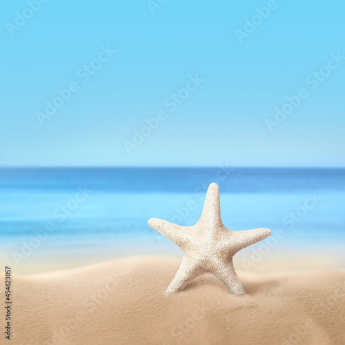 Beautiful sea star on sandy beach near ocean