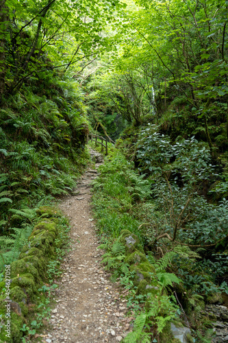 Path through Dhoon glen, Isle of Man