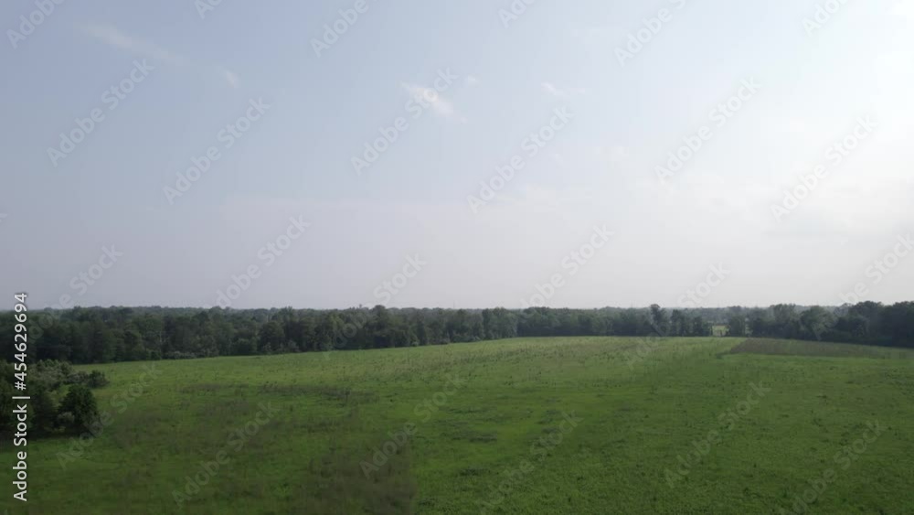 Drone moving over large open green field Drone moving over large open green field