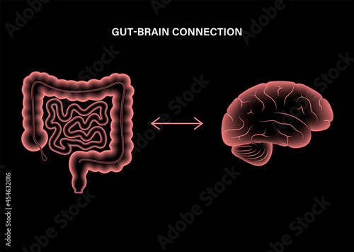 Gut Brain 3D