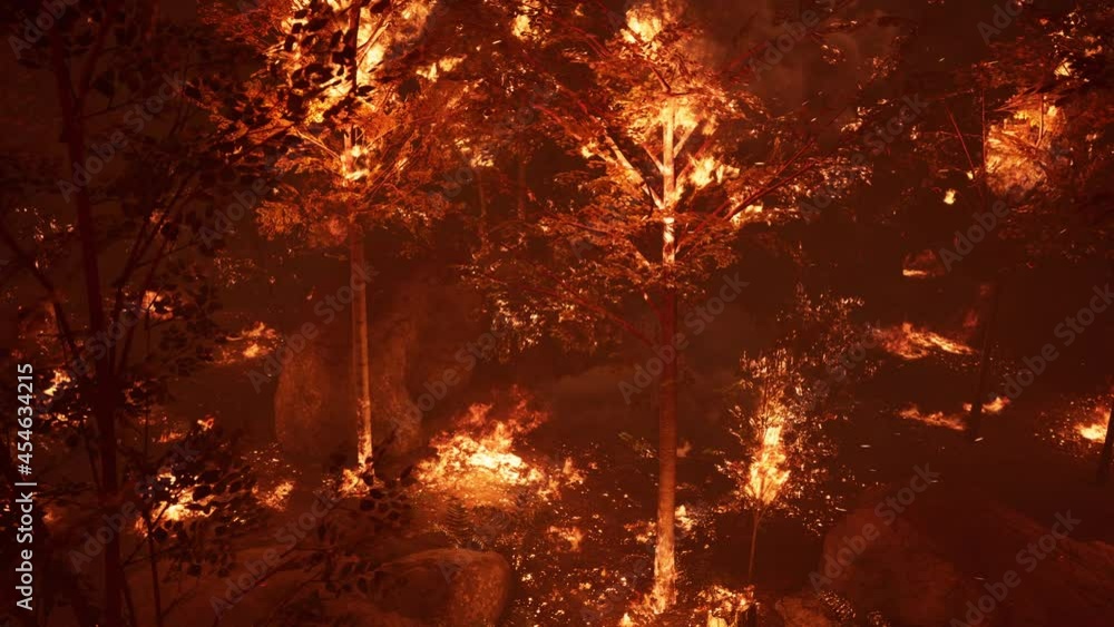large flames of forest fire at night large flames of forest fire at night