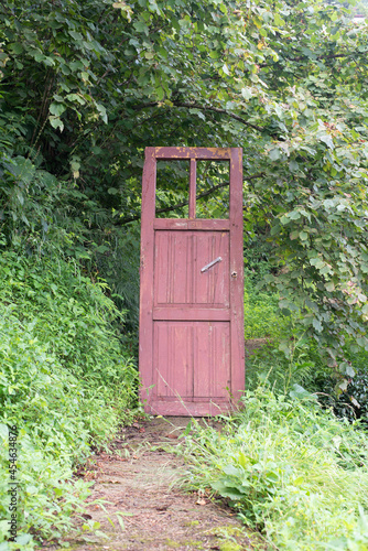 Secret door in the forest