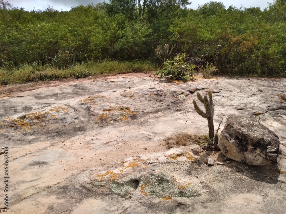 Paisagem formada por afloramento rochoso de Arenito na Caatinga, Bahia, Nordeste do Brasil Paisagem formada por afloramento rochoso de Arenito na Caatinga, Bahia, Nordeste do Brasil