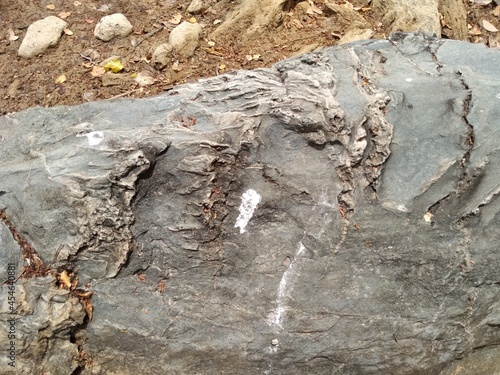 Afloramentos em rochas contendo fendas com veios e vênulas brancas - Caatinga, Nordeste do Brasil