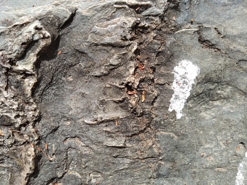 Afloramentos em rochas contendo fendas com veios e vênulas brancas - Caatinga, Nordeste do Brasil photo