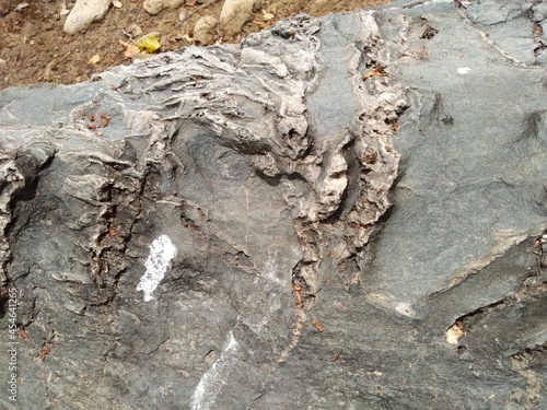 Afloramentos em rochas contendo fendas com veios e vênulas brancas - Caatinga, Nordeste do Brasil