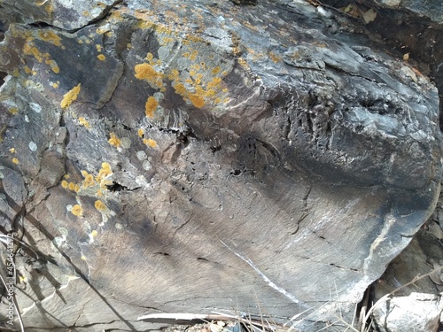 Afloramentos em rochas contendo fendas com veios e vênulas brancas - Caatinga, Nordeste do Brasil