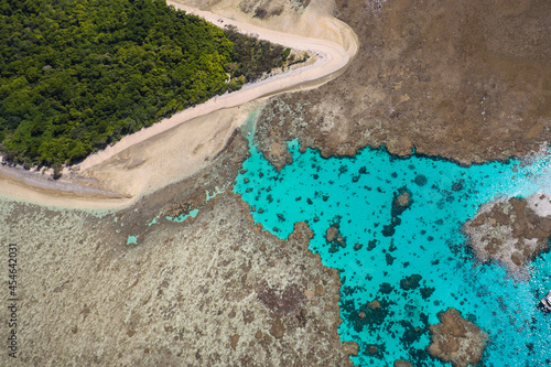 Lady Musgrave Island Reef photo