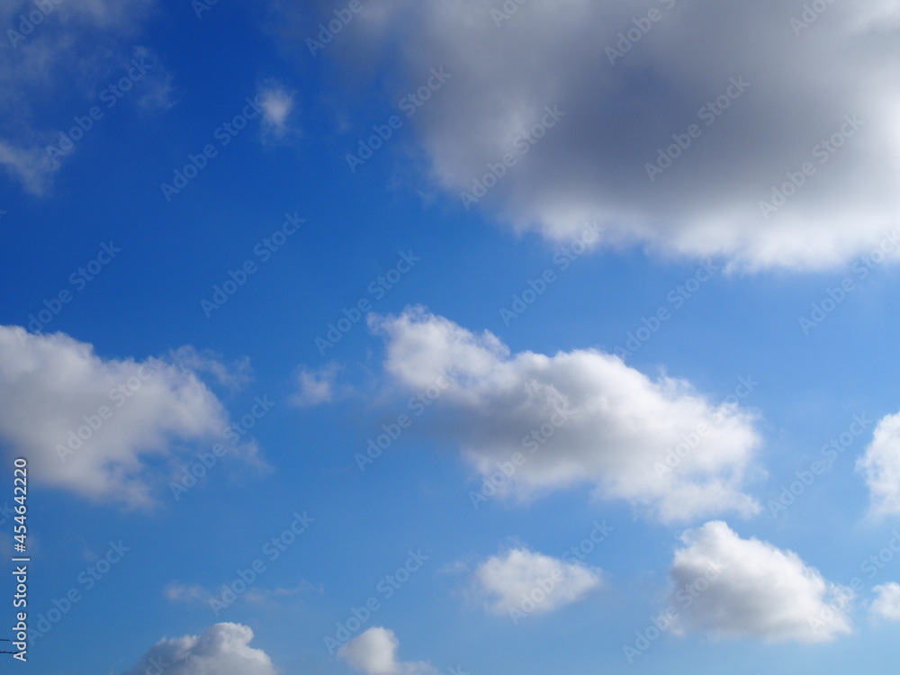 Obraz premium 空