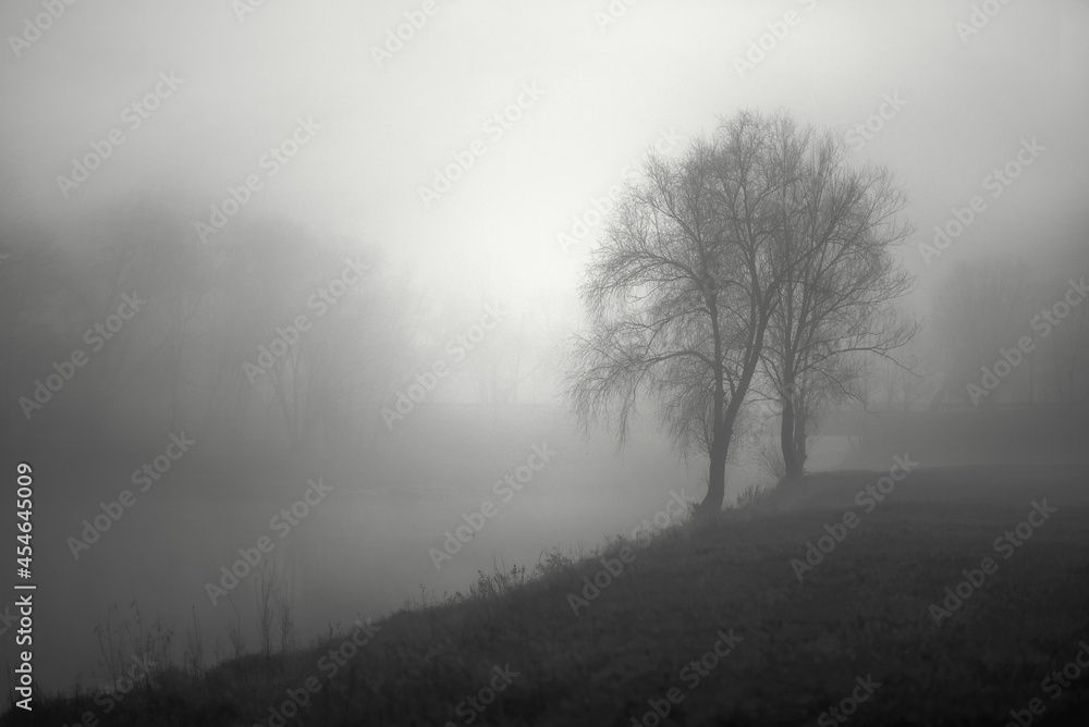 fog in the river fog in the river