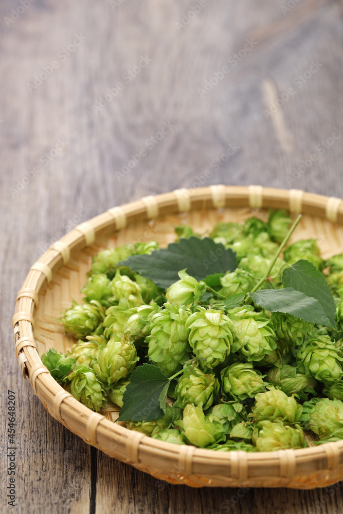 freshly harvested hops in bamboo tray freshly harvested hops in bamboo tray