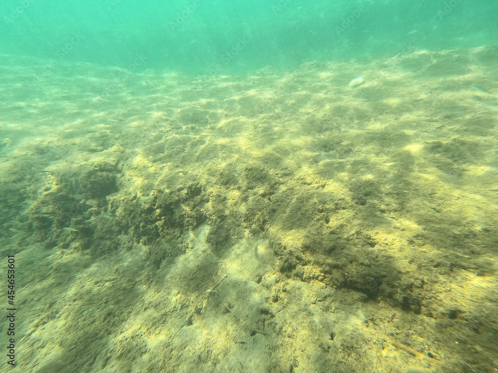 Underwater world of Mediterranean Sea. Near Marmaris, Turkey