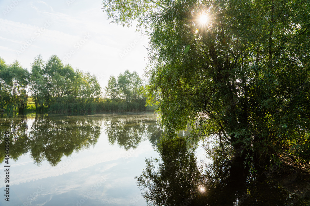 Obraz premium Perfectly smooth water surface on lake in the forest. Summer landscape. Glassy lake.