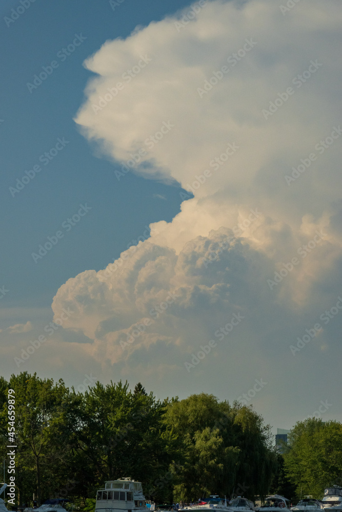 Summer clouds, puffy white with blue sky: verticle banner Summer clouds, puffy white with blue sky: verticle banner