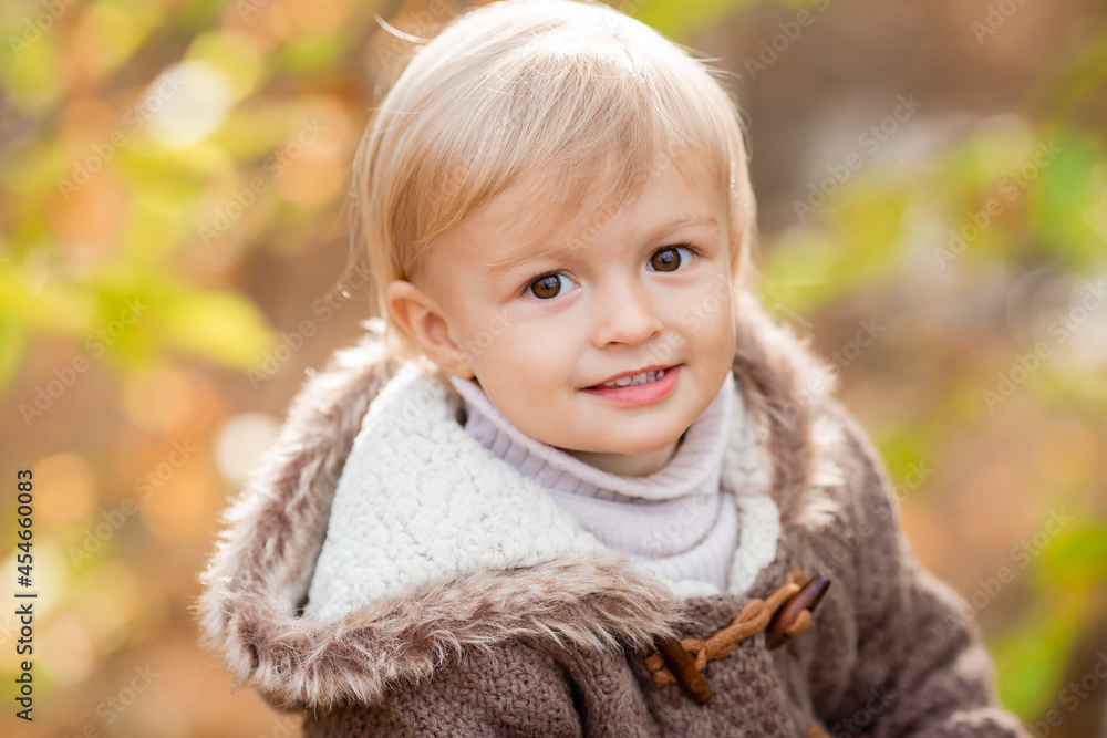 portrait of a little blond boy in a knitted sweater in autumn. High quality photo portrait of a little blond boy in a knitted sweater in autumn. High quality photo
