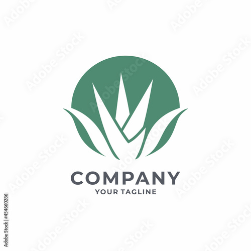 Creative  Agave Logo Design Vector