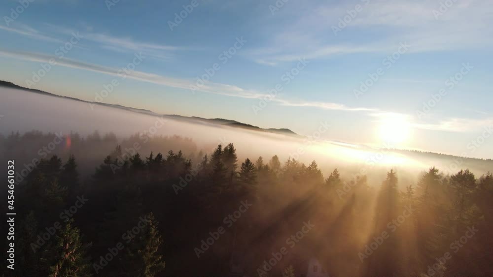 flight over the misty forest on morning with fog and sun rays on treetops at mountain sunrise. Aerial shot on fpv drone over clouds nature landscape with mountain hilly terrain. Cinematic view. flight over the misty forest on morning with fog and sun rays on treetops at mountain sunrise. Aerial shot on fpv drone over clouds nature landscape with mountain hilly terrain. Cinematic view.