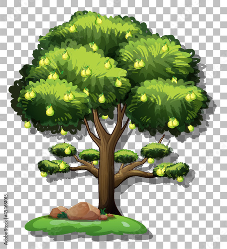 Pear tree on transparent background