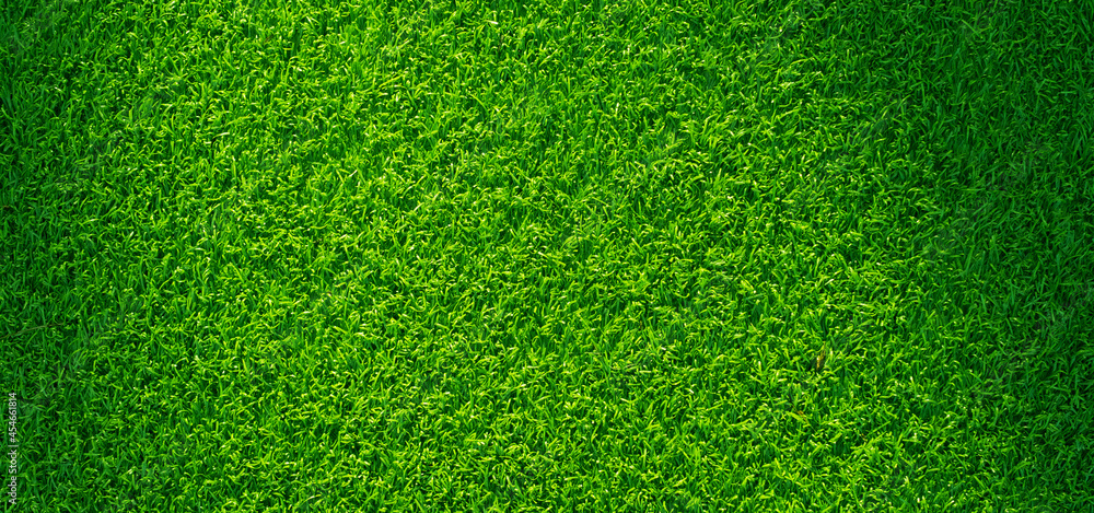 Obraz premium Green grass background, football field 