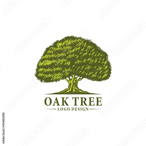 Oak tree icon vector logo