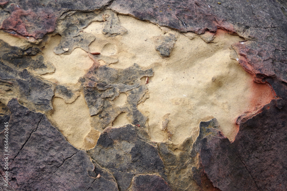 Colorful surface of a weathered sandstone boulder