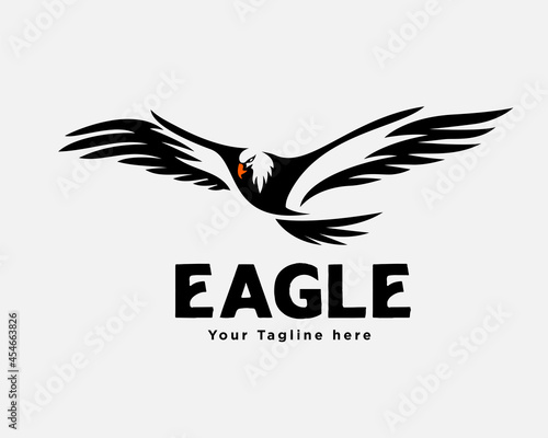 eagle fly expanded wings logo template illustration inspiration