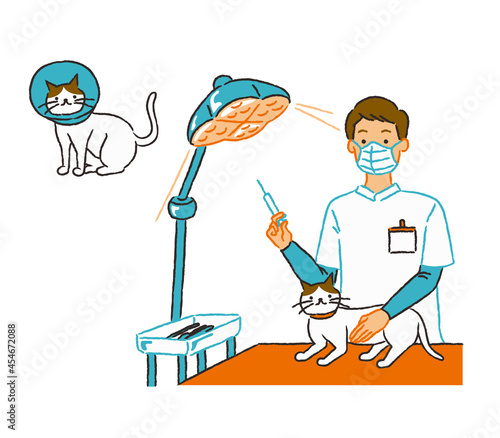 猫を治療する獣医さん