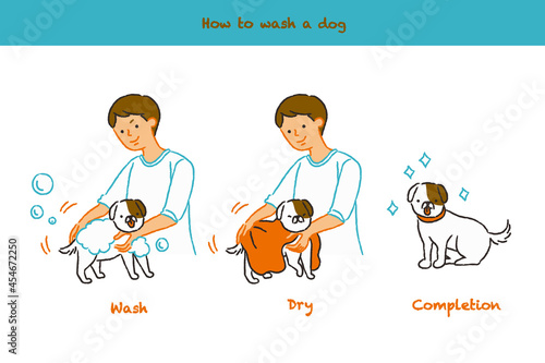 犬をシャンプーする流れ