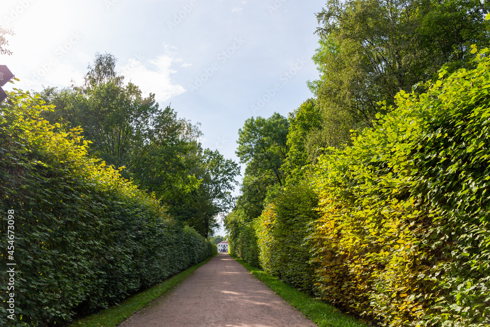 path in the park in summertime