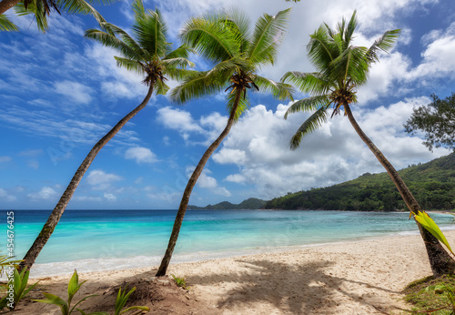 Fototapeta Naklejka Na Ścianę i Meble -  Coco palms and beautiful sea in amazing tropical Anse Takamaka beach on Seychelles paradise island.