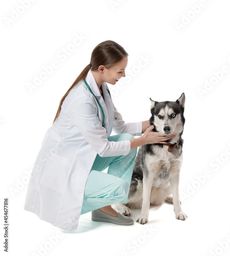 Veterinarian with cute dog ...