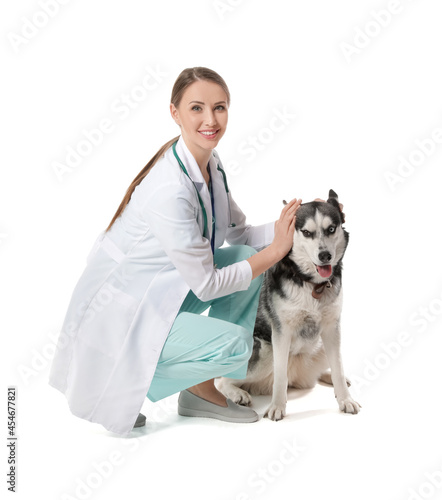 Veterinarian with cute dog ...