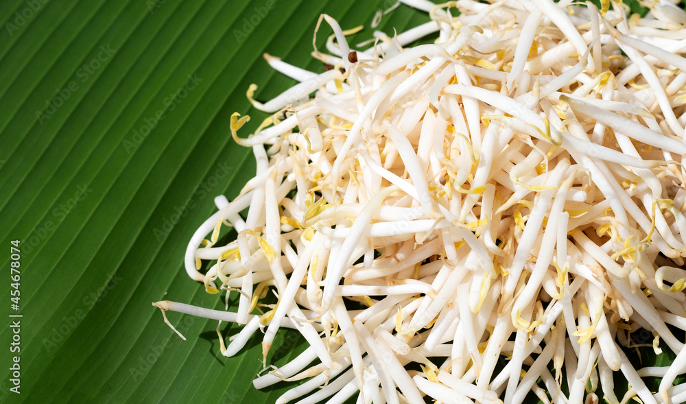 Bean sprouts on banana leaf Bean sprouts on banana leaf