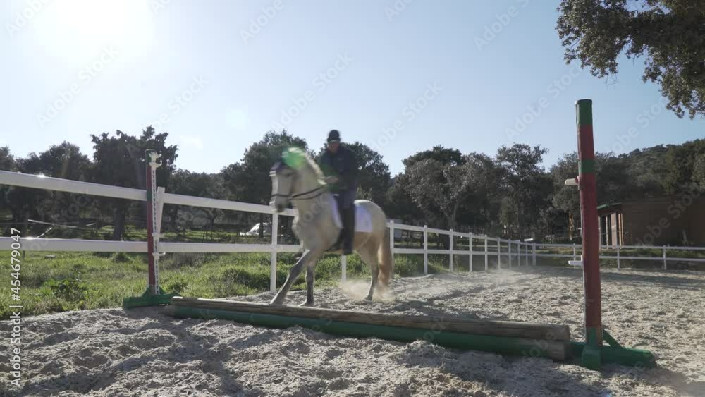 White horse training with simple jumping obstacle. White horse training with simple jumping obstacle.