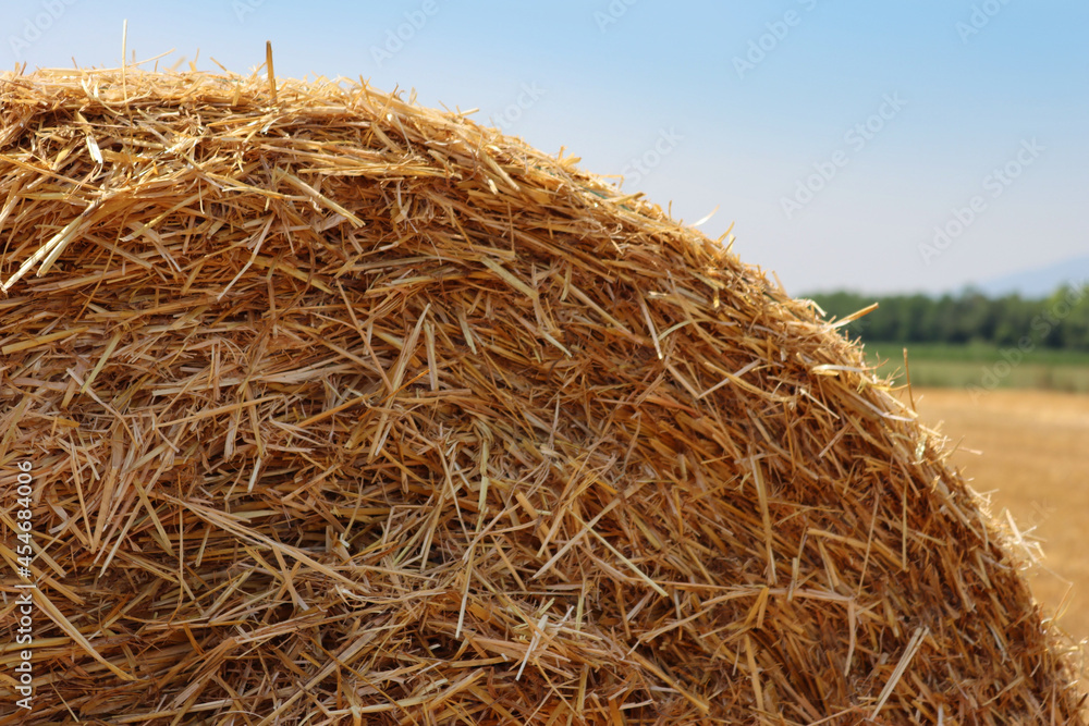 Close-up of golden hay bale in the mowed field on summer under blue sky in the northern italian countryside Close-up of golden hay bale in the mowed field on summer under blue sky in the northern italian countryside