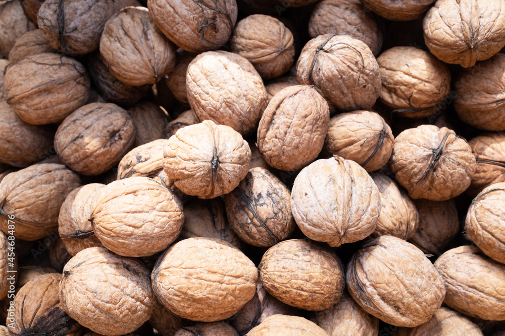 Top view of freshly harvested walnuts Top view of freshly harvested walnuts