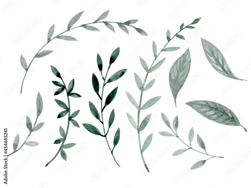 A set of delicate thin twigs of gray-green twigs with leaves. Watercolor illustration. A set of delicate thin twigs of gray-green twigs with leaves. Watercolor illustration.