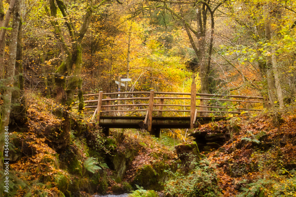 Bridge over the top of the Rausch waterfall on a fall day with vibrant yellow leaves in the forest near Cochem, Germany.
