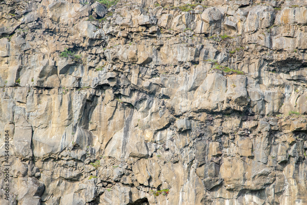 Die Felswand von der Asyrgi Schlucht im Norden von Island